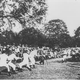 Image for article titled How Were These Ever Considered Olympic Events?